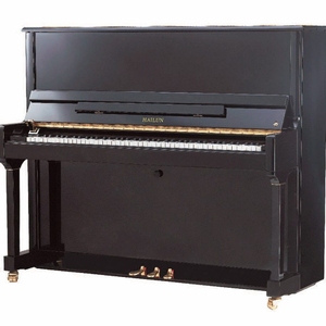 Hailun H-5P upright piano.